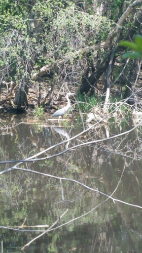 Park «Bass Lake Park», reviews and photos, 3450 Glenhurst Ave, Minneapolis, MN 55416, USA