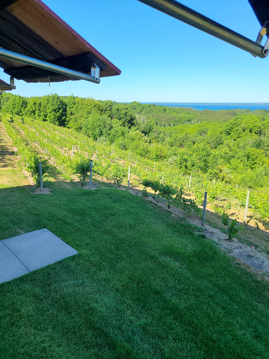 Vineyard «Ciccone Vineyard & Winery», reviews and photos, 10343 E Hilltop Rd, Suttons Bay, MI 49682, USA