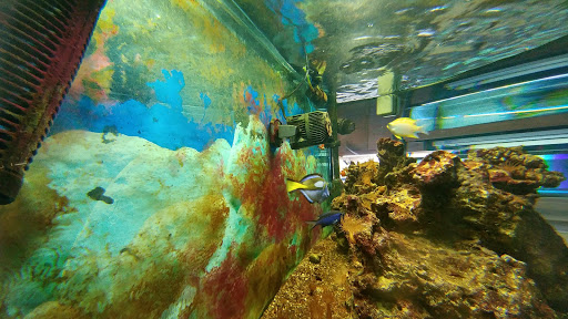 Pet Store «The Pet Works», reviews and photos, 240 14th St, Astoria, OR 97103, USA