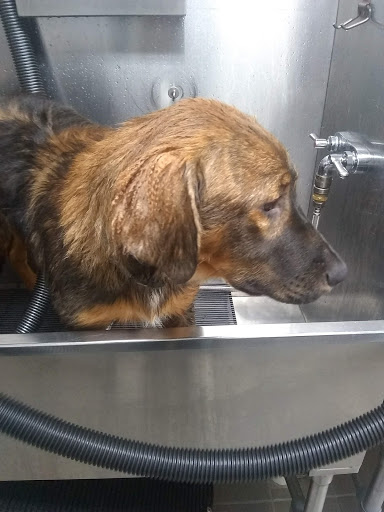 Pet Supply Store «Pet Supplies Plus», reviews and photos, 946 Joliet St, Dyer, IN 46311, USA