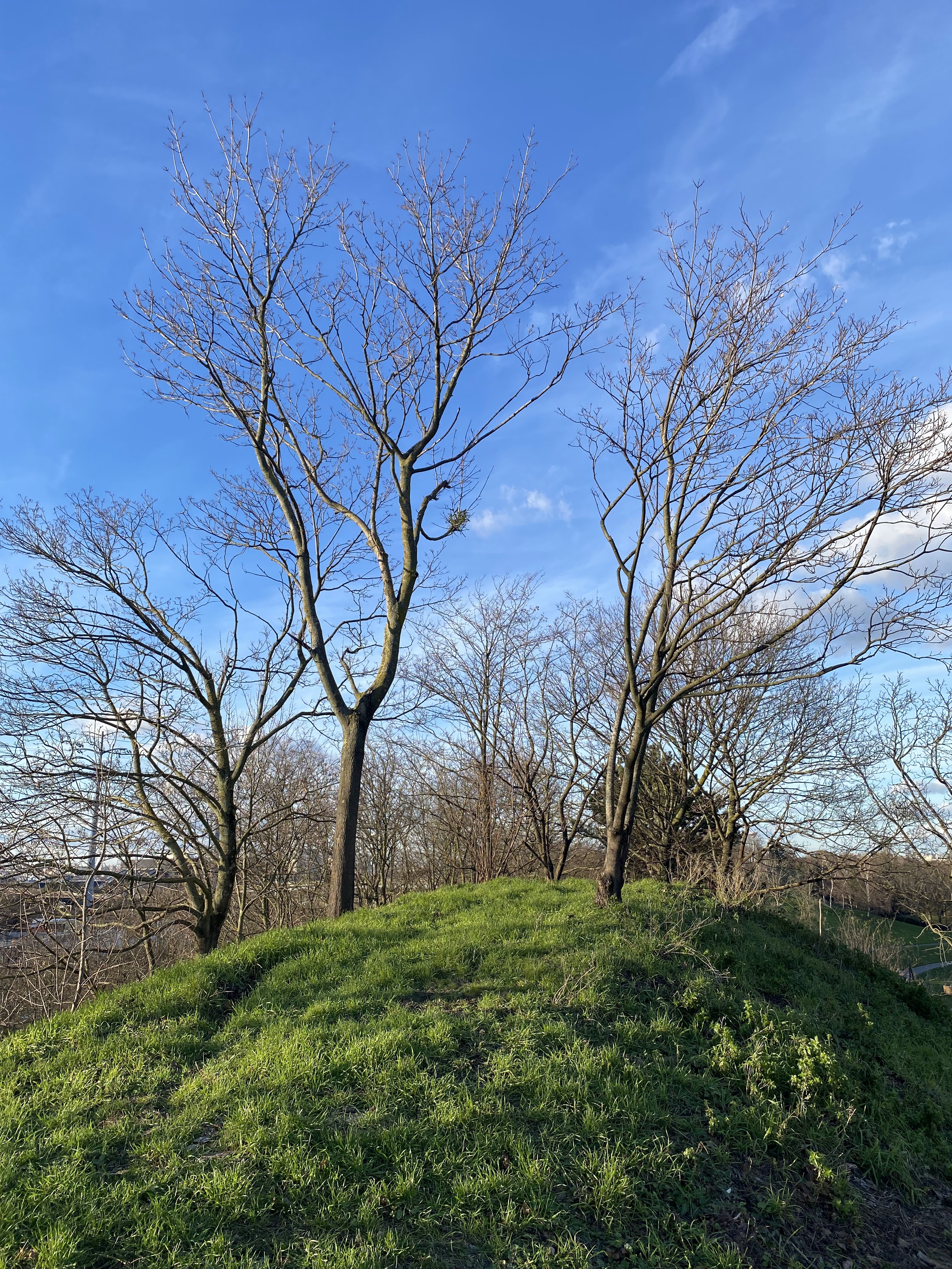 Photo n° 47 de l'avis de jérémie-louis.D fait le 16/01/2024 à 00:35