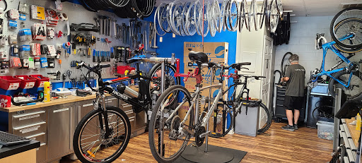 Bicycle Store «BikeSport», reviews and photos, 3970 Tampa Rd, Oldsmar, FL 34677, USA