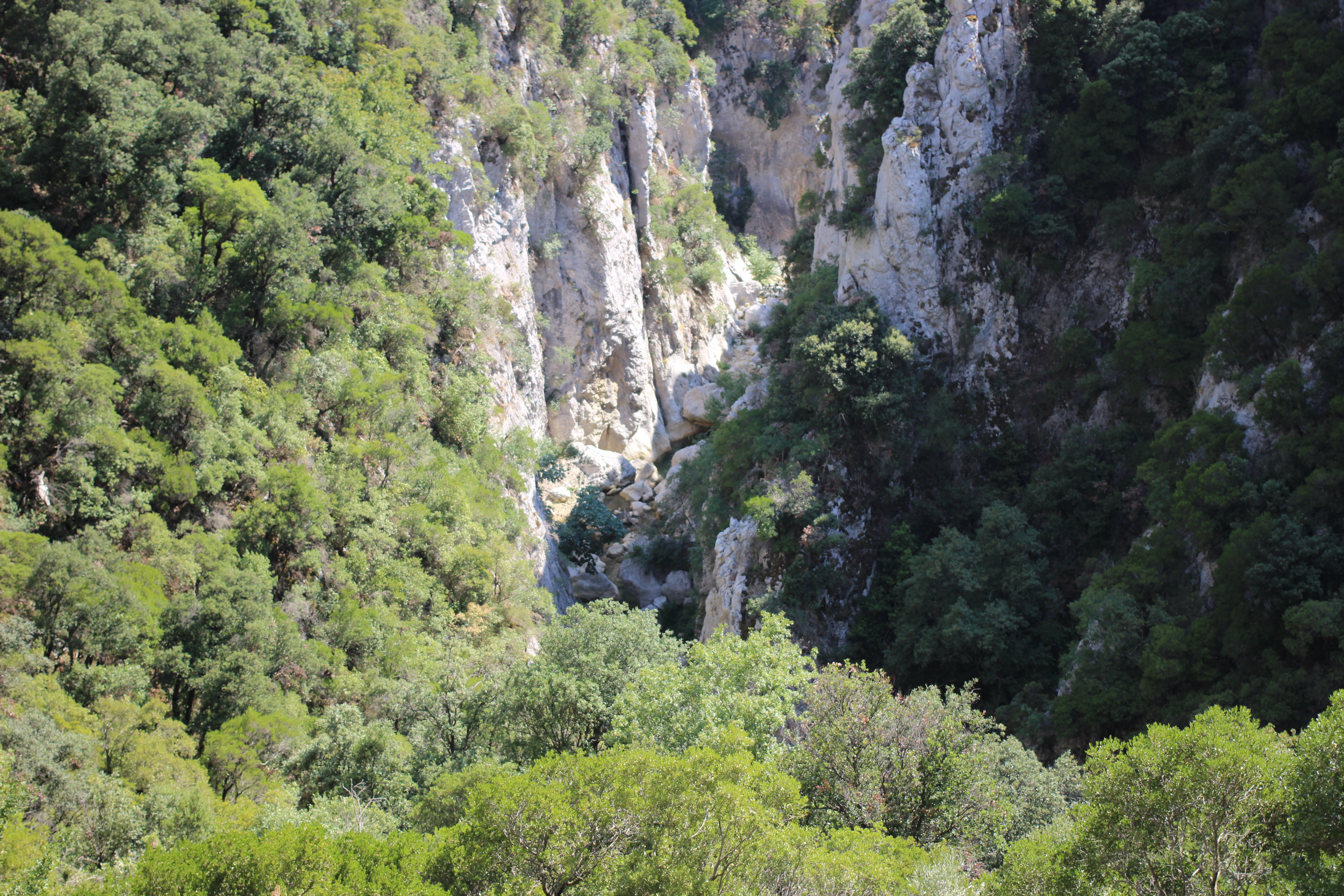 Photo n° 11 de l'avis de Clovis.a fait le 23/07/2022 à 10:46