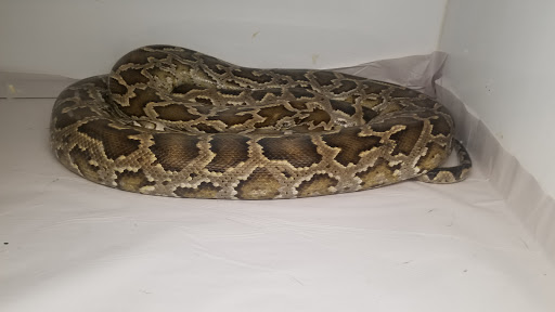 Tropical Fish Store «Harris In Wonderland», reviews and photos, 12 W Main St, Avon, CT 06001, USA