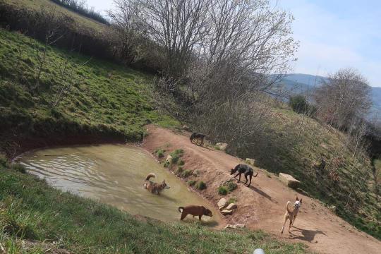 Photo n° 1 de l'avis de Chloé.e fait le 21/03/2022 à 13:19