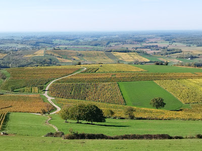 Belvédère du vignoble à Pupillin