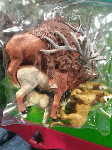 American Restaurant «Star Drug Store», reviews and photos, 510 23rd St, Galveston, TX 77550, USA