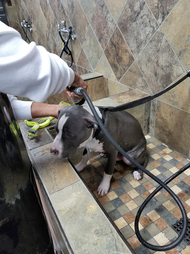 Pet Supply Store «Pet Valu», reviews and photos, 1601 Willow Lawn Dr #301C, Richmond, VA 23230, USA