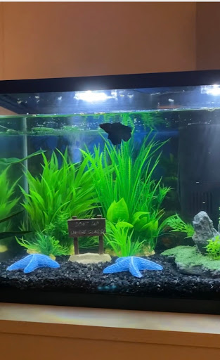 Pet Supply Store «PetSmart», reviews and photos, 10329 S State St, Sandy, UT 84070, USA