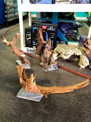 Tropical Fish Store «Aqua Mart Aquariums», reviews and photos, 1620 S Washington Ave, Titusville, FL 32780, USA