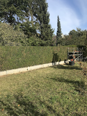 Ent Miraux elagage abattage taille haie elagueur pose de clôture à Nonancourt