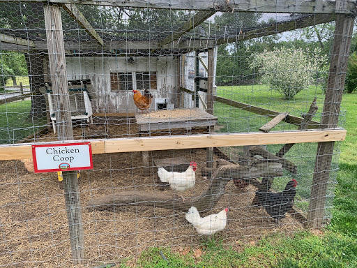 Local History Museum «Steppingstone Farm Museum», reviews and photos, 461 Quaker Bottom Rd, Havre De Grace, MD 21078, USA