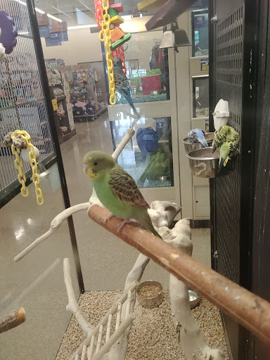 Pet Supply Store «PetSmart», reviews and photos, 2026 Lincoln Way E, Massillon, OH 44646, USA