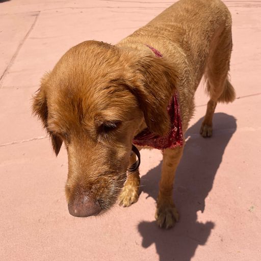 Bankruptcy Attorney «The Pope Firm», reviews and photos