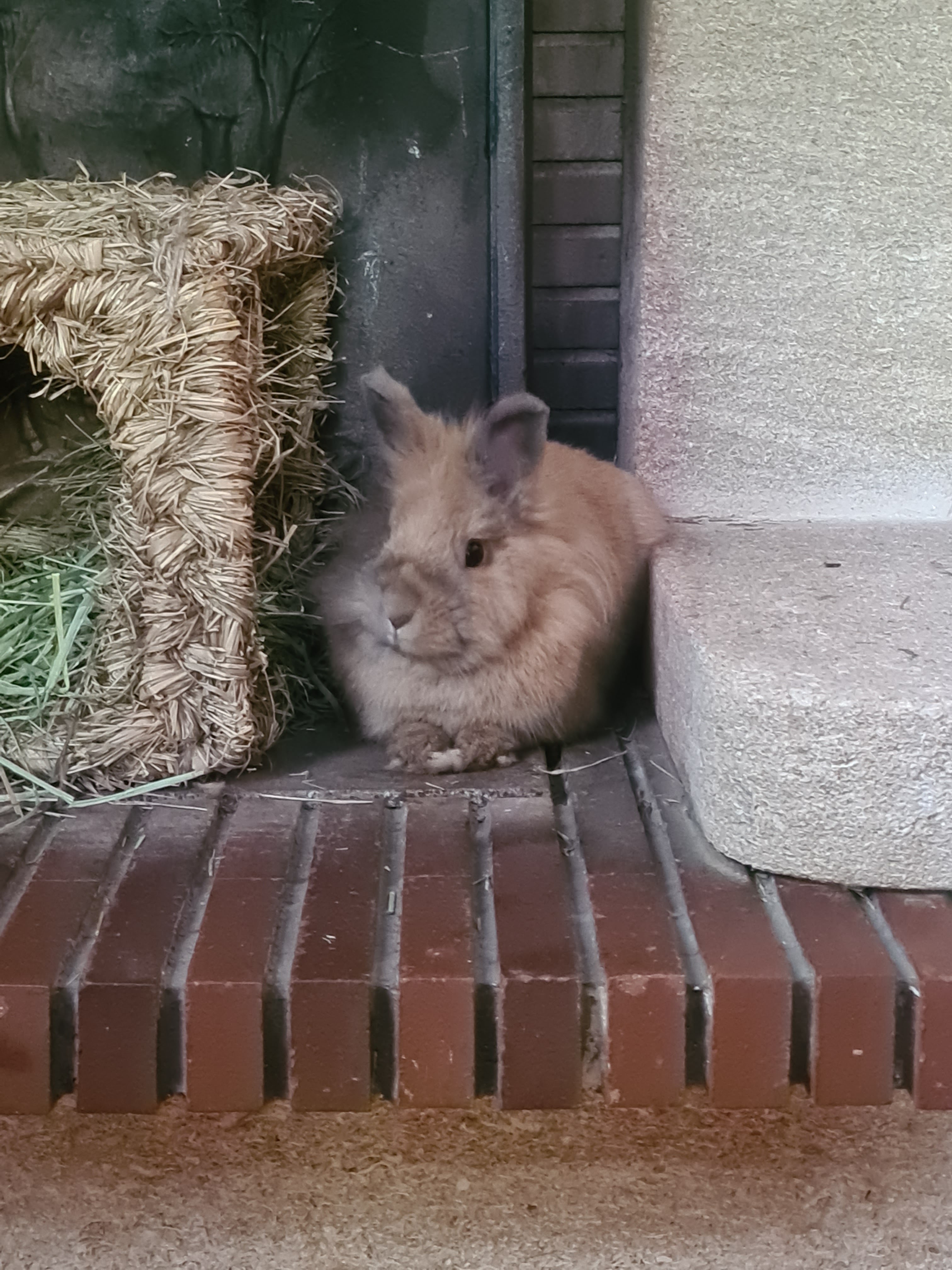 Photo n° 1 de l'avis de Manon.e fait le 07/08/2021 à 15:12