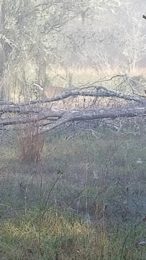 Nature Preserve «Gator Creek Reserve», reviews and photos, 9725 US Hwy 98 N, Lakeland, FL 33809, USA