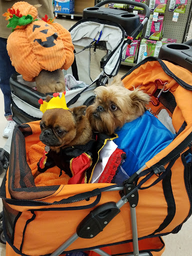 Pet Supply Store «Petco Animal Supplies», reviews and photos, 17200 Southcenter Pkwy #100, Tukwila, WA 98188, USA