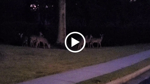 Golf Course «St Marlo Country Club», reviews and photos, 7755 St Marlo Country Club Pkwy, Duluth, GA 30097, USA