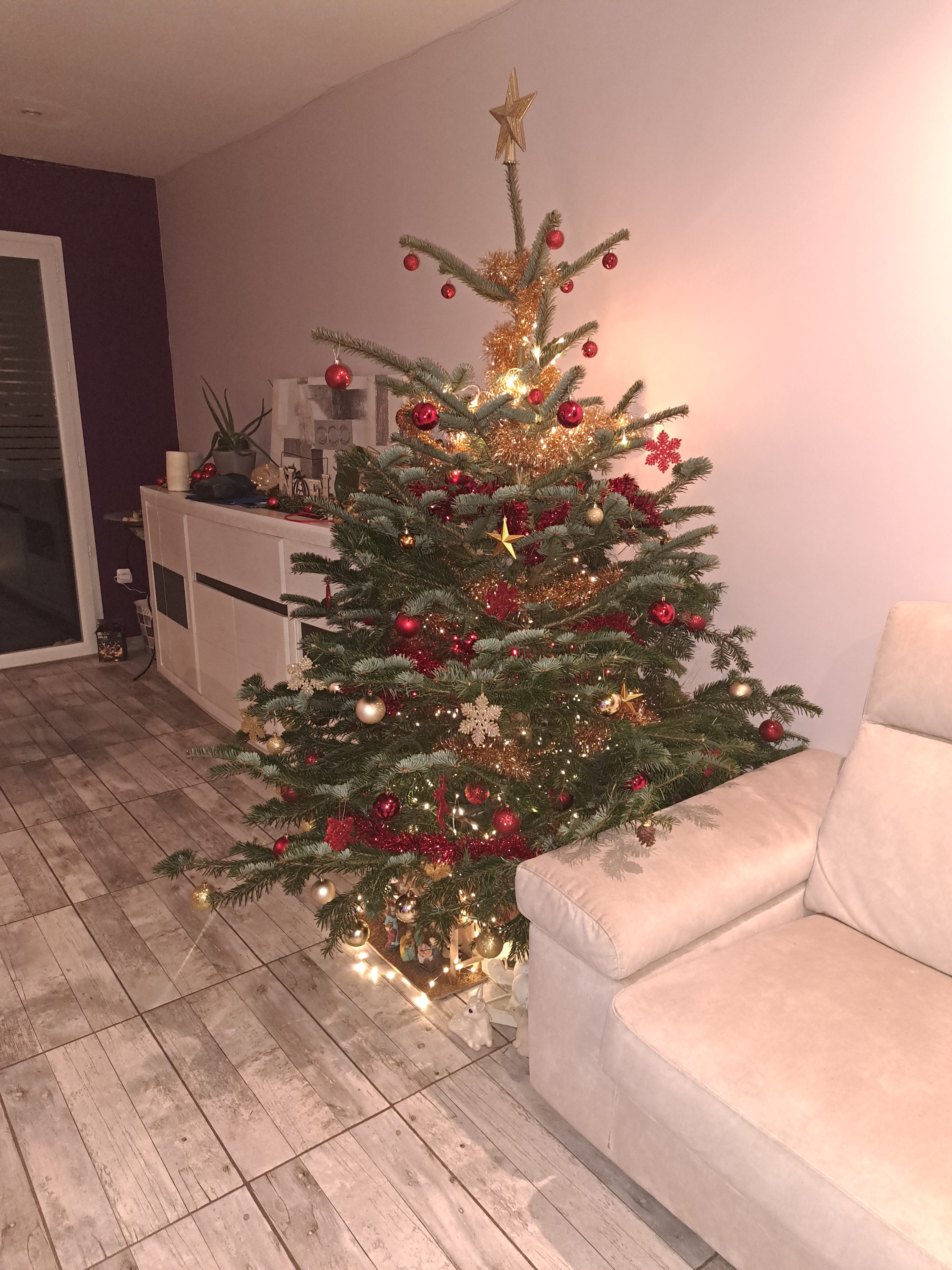 Photo n° 1 de l'avis de CALLY.� fait le 12/12/2023 à 21:21