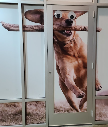 Pet Supply Store «Petco Animal Supplies», reviews and photos, 15622 Old Columbia Pike, Burtonsville, MD 20866, USA