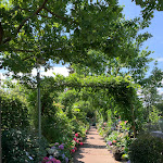 Photo n°7 de l'avis de Reza.s fait le 24/08/2021 à 07:41 sur le  Das Café in der Gartenakademie à Berlin