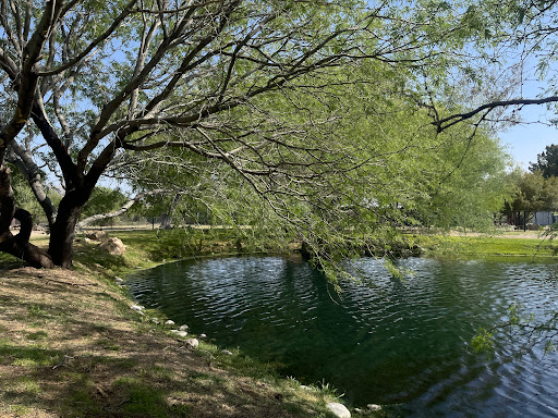 Indoor Lodging «La Mariposa Resort», reviews and photos, 1501 N Houghton Rd, Tucson, AZ 85749, USA