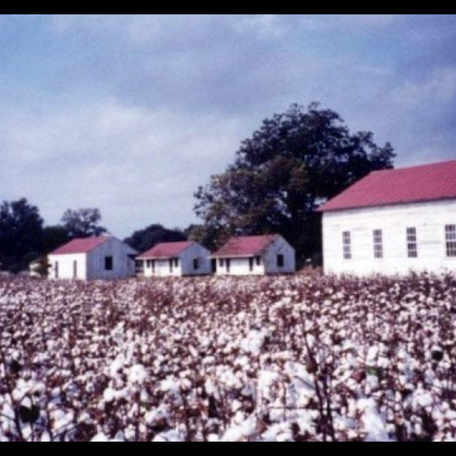 Frogmore Cotton Plantation & Gins