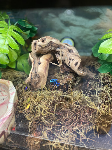 Pet Supply Store «Petco Animal Supplies», reviews and photos, 545 W Prien Lake Rd, Lake Charles, LA 70601, USA