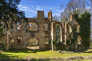 Ruine des Neuen Schlosses Tylsen image