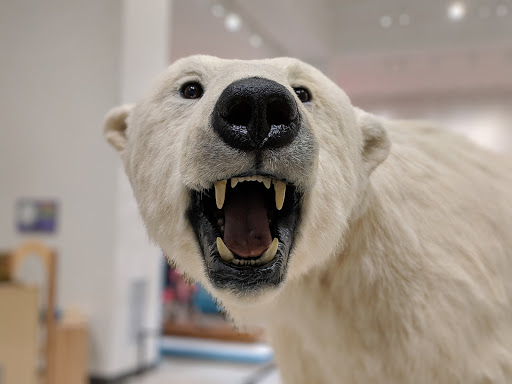 Museum «New Jersey State Museum», reviews and photos, 205 W State St, Trenton, NJ 08608, USA