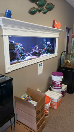Pet Supply Store «The Fish Bowl», reviews and photos, 4000 S Dupont Hwy # 101, Dover, DE 19901, USA