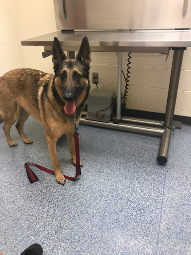 Michigan Humane Veterinary Center image