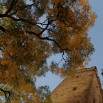 Photo n°1 de l'avis de Heike.o fait le 14/10/2019 à 18:34 sur le  Hans im Glück à Heilbronn