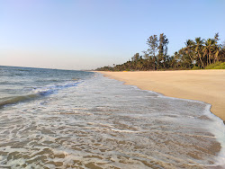 Photo de Bavaguthu Beach situé dans une zone naturelle