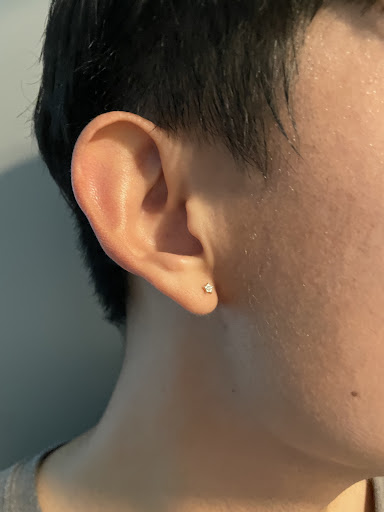 Explore morel mushroom tattoo ideas, creative tattoo ideas in Chicago, available at Rowan West Loop