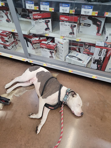 Department Store «Walmart Supercenter», reviews and photos, 7150 Camino Arroyo, Gilroy, CA 95020, USA