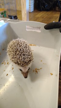 エキゾチックアニマルカフェRicky福島店