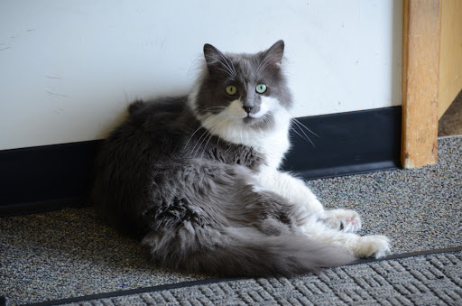 Bicycle Store «Kokomo Cycling & Fitness», reviews and photos, 1500 E Blvd St, Kokomo, IN 46902, USA