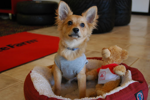 Auto Insurance Agency «Jill Tinkel - State Farm», reviews and photos