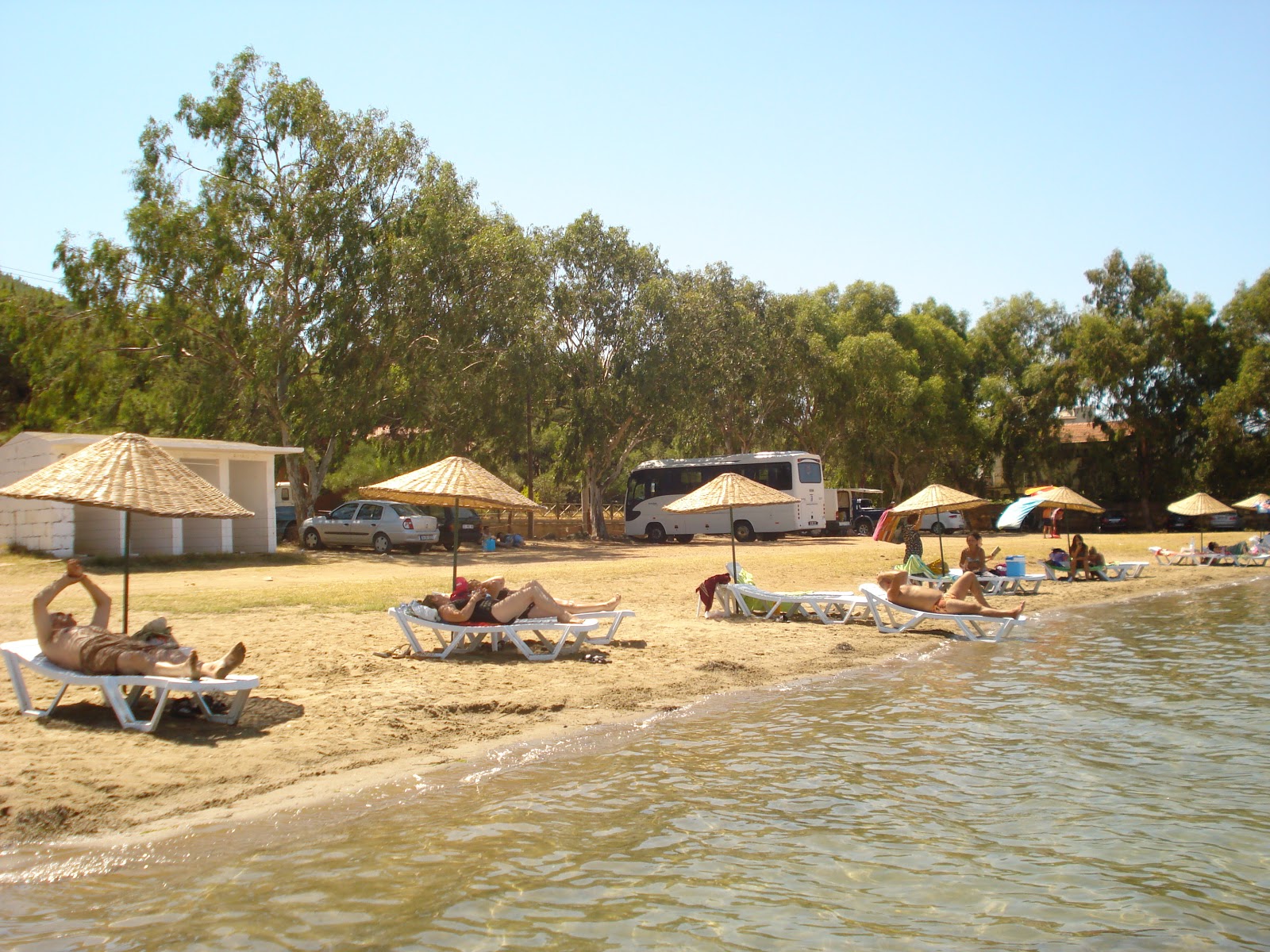 Ayvalik beach'in fotoğrafı ve yerleşim