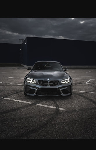 Photo 7 - Epaviste Aude