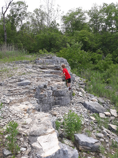 Nature Preserve «Sawyer Quarry Nature Preserve», reviews and photos, 26940 Lime City Rd, Perrysburg, OH 43551, USA