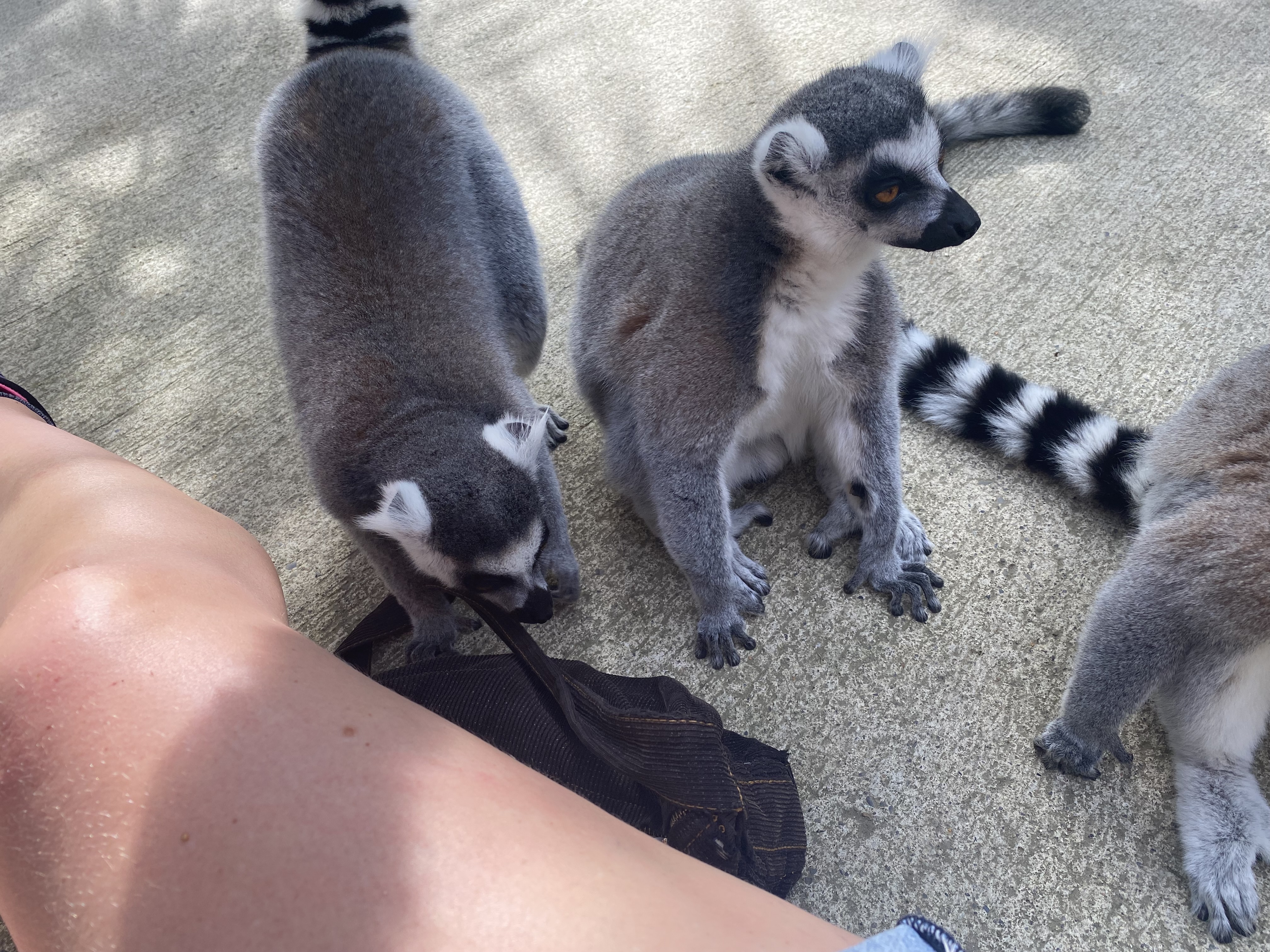 Photo n° 5 de l'avis de Julie-Audrey.e fait le 28/10/2022 à 03:13