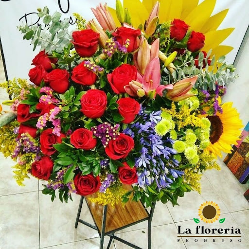 La Floreria Progreso – Progreso