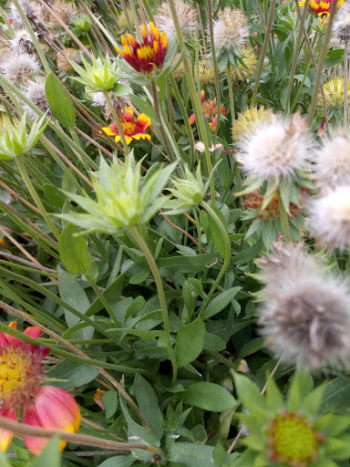 Explore black and grey half sleeve tattoo ideas, creative tattoo ideas in Little Rock, available at THE ORIGINAL ARCH STREET TATTOO COMPANY EST.2014 FBAARON DALE STINSON