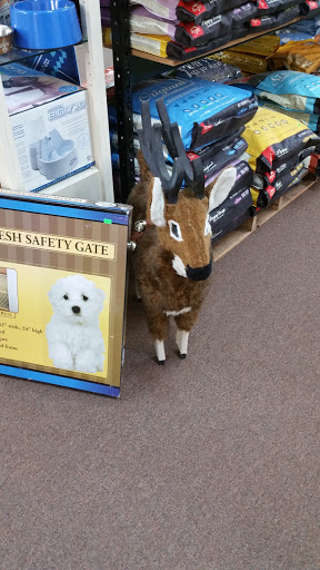 Fishing Store «Anglers Outfitters», reviews and photos, 1426 Oakland Ave, St Clair, MI 48079, USA