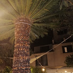 Photo n°11 de l'avis de silvio.e fait le 02/10/2019 à 04:30 sur le  La Macina à Monreale