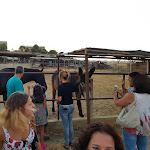 Photo n°1 de l'avis de Nadia.n fait le 12/08/2017 à 07:22 sur le  Azienda Sciortino à Licata