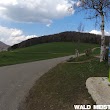 Wandergebiet-Staffelegg 660m