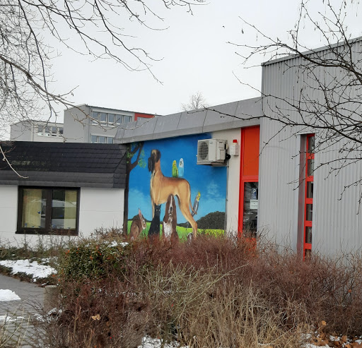 Kleintierpraxis im Stadtfeld Tierärztin A. Dietz unter Wernigerode, 